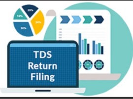 TDS Filing Services